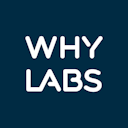 WhyLabs Team